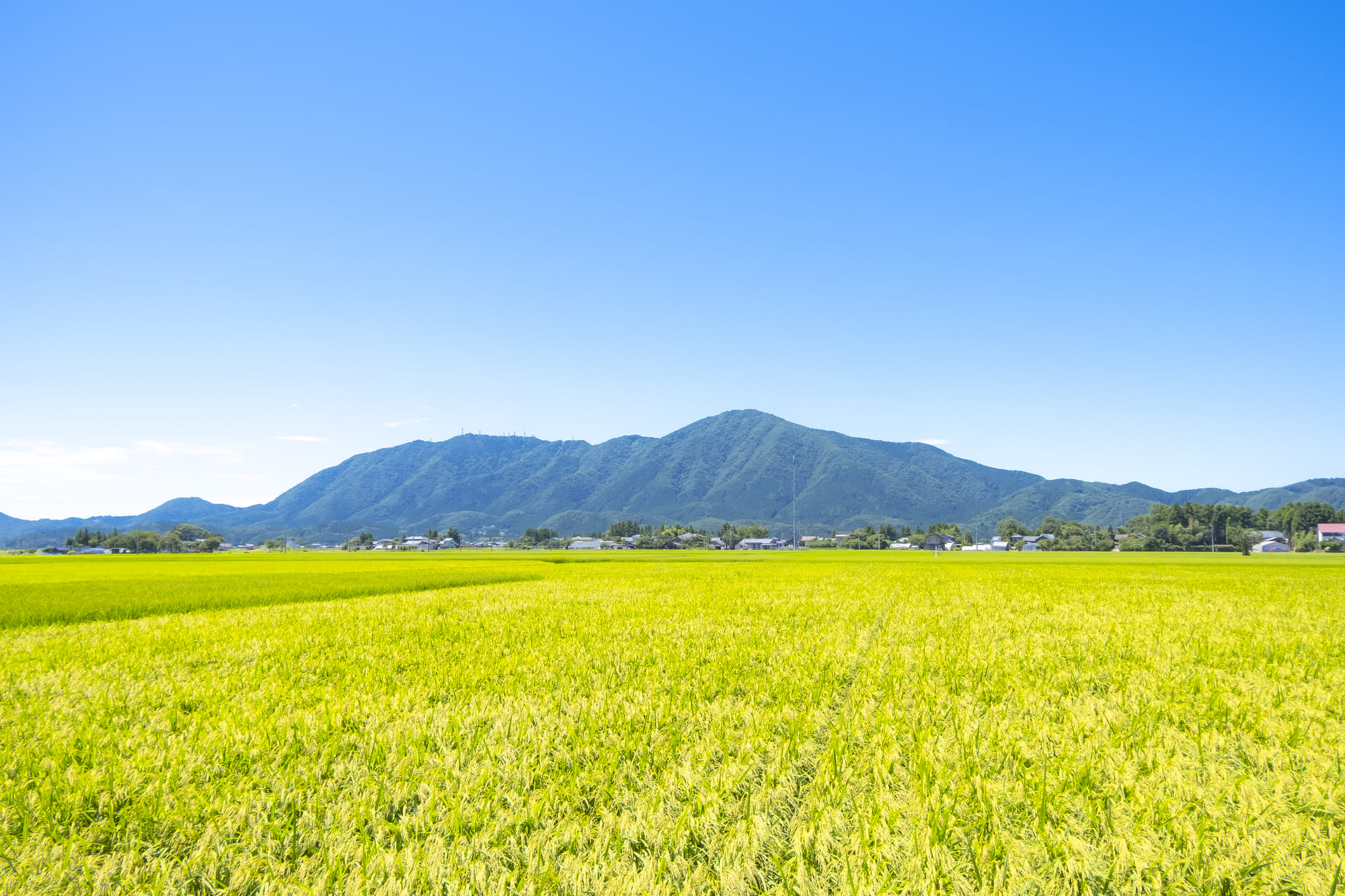 新潟市西蒲区