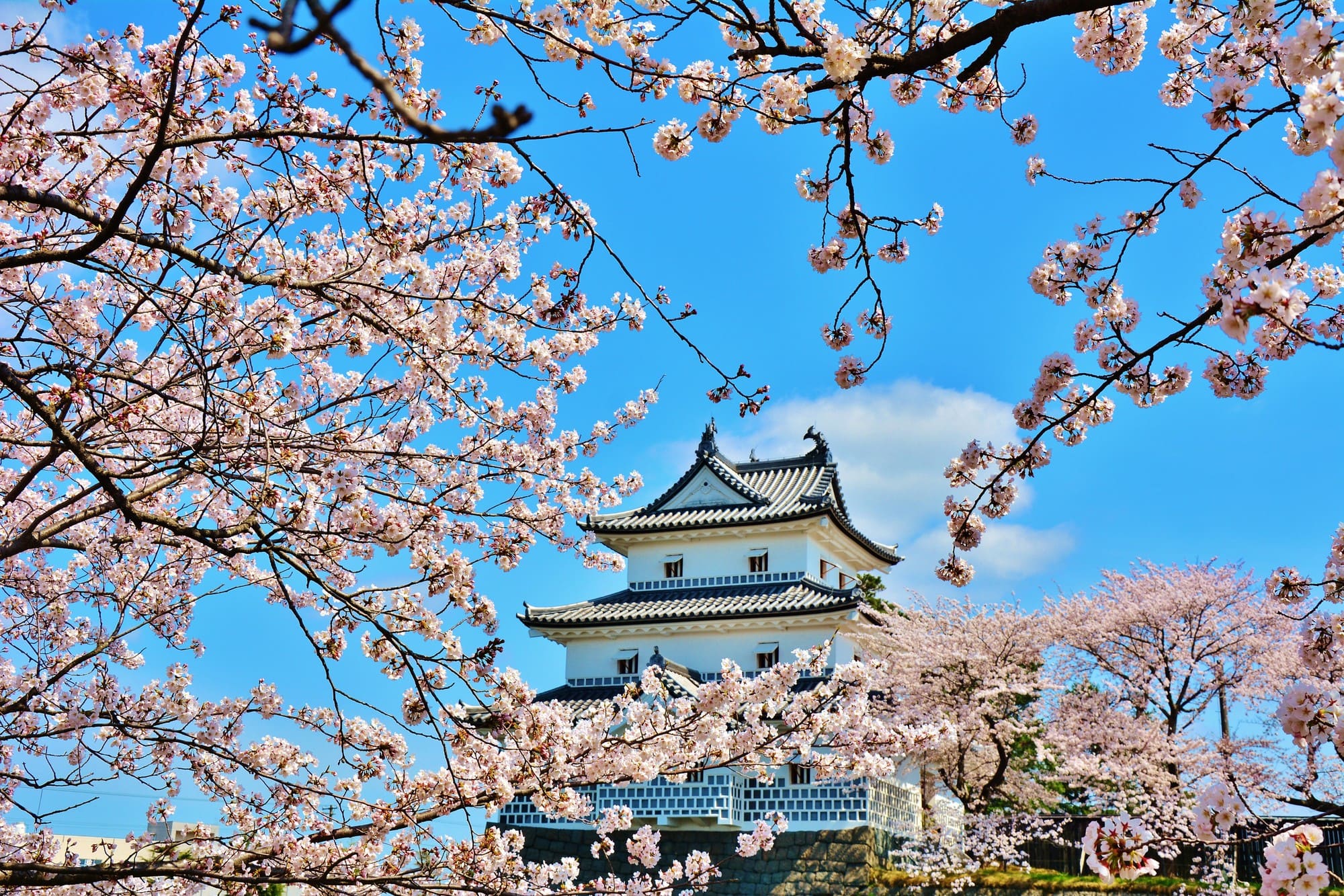 新発田市